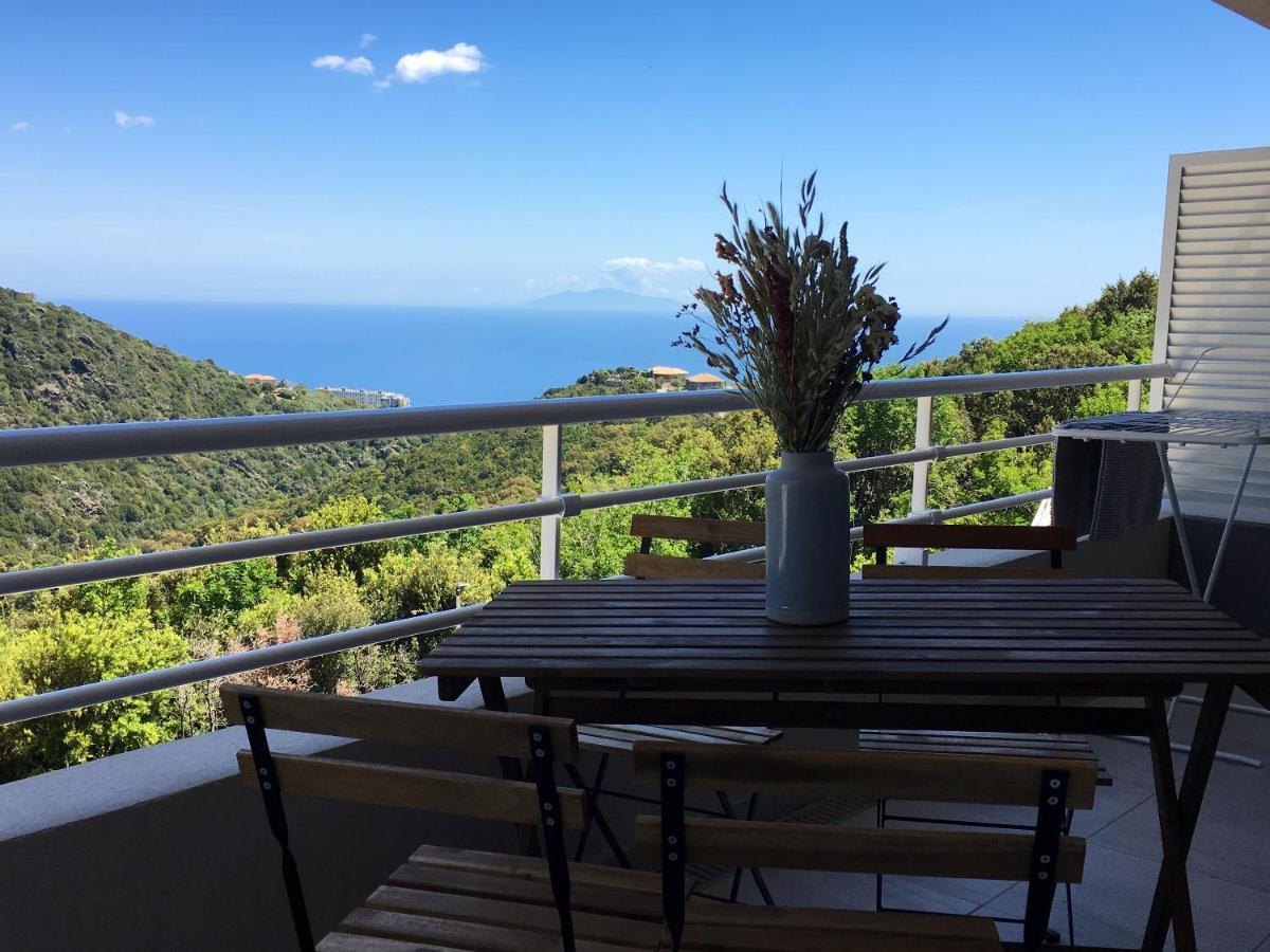 D'une Avec Vue Sur La Terrasse Amenagee Et Wifi A Bastia A 2 Km De La *
